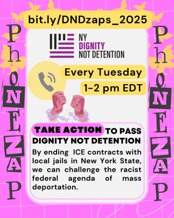 Phone Zaps for Dignity Not Detention campaign